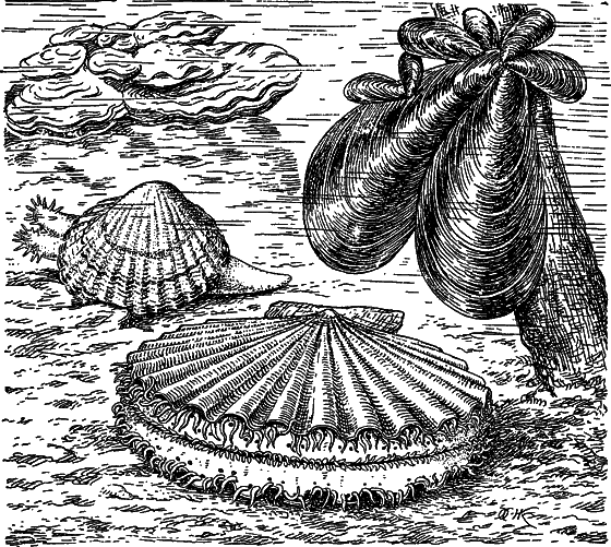 Жизнь моря - i_111.png