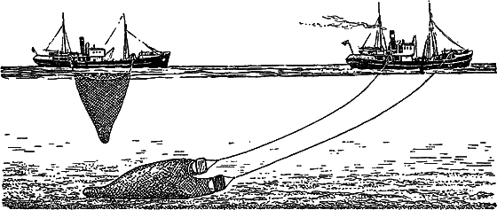 Жизнь моря - i_115.png