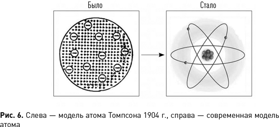 Мифы об эволюции человека - i_017.png