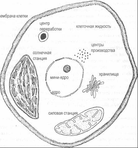 Паутина жизни. Новое научное понимание живых систем - doc2fb_image_0200002A.jpg