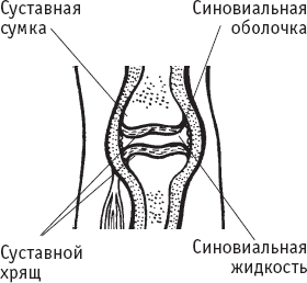 Домашняя медицинская энциклопедия. Симптомы и лечение самых распространенных заболеваний - _12.png