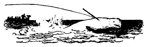 Листы каменной книги - pic_21.png