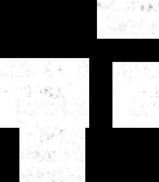 Краткий словарь литературоведческих терминов - _916.jpg