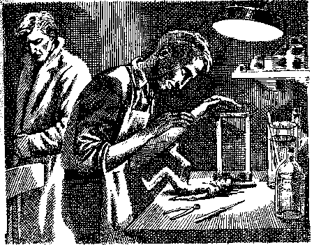 Преследование (сборник) - pic_6.png