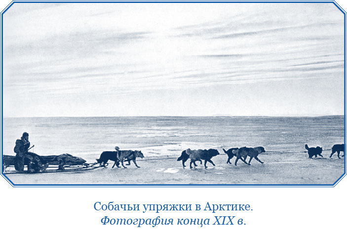 «Фрам» в Полярном море (с иллюстрациями) - i_006.jpg