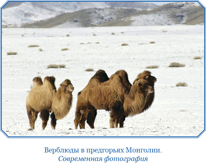 Алтай. Монголия. Китай. Тибет - i_012.jpg