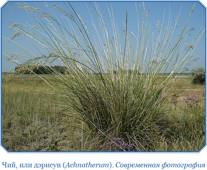 Алтай. Монголия. Китай. Тибет - i_033.jpg