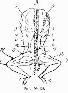 Поварское искусство - _31.jpg