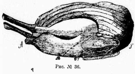 Поварское искусство - _38.jpg
