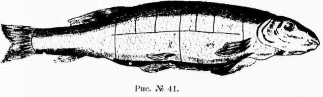 Поварское искусство - _43.jpg