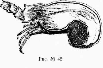 Поварское искусство - _44.jpg