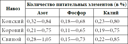 500 советов садоводу - i_004.png