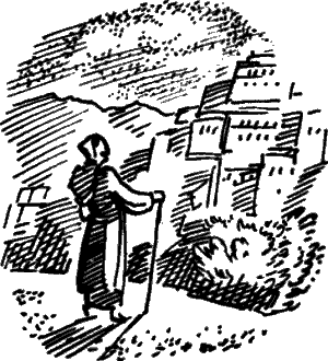 Путешествие парижанки в Лхасу - i_053.png