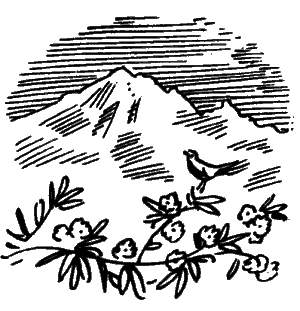 Путешествие парижанки в Лхасу - i_054.png