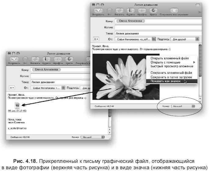 Самоучитель работы на Macintosh - i_356.jpg