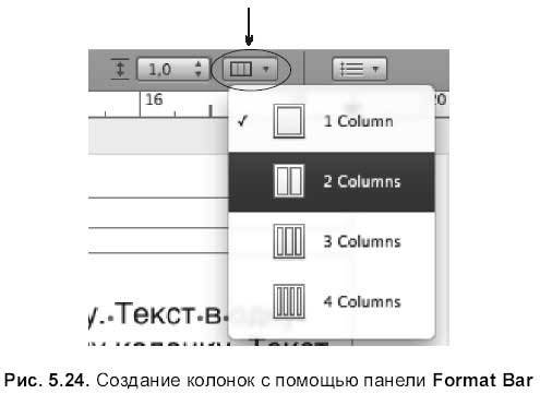 Самоучитель работы на Macintosh - i_554.jpg