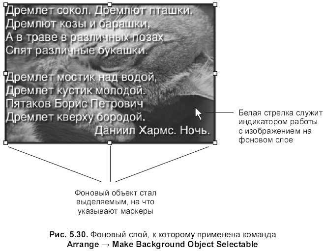 Самоучитель работы на Macintosh - i_570.jpg