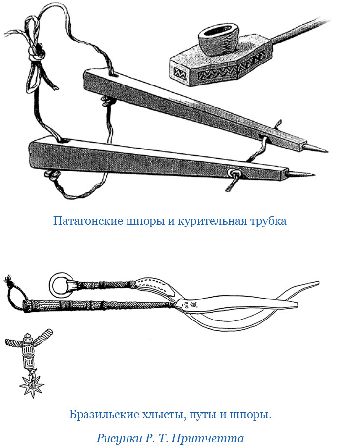 Путешествие вокруг света на корабле «Бигль» (с илл.) - i_020.jpg