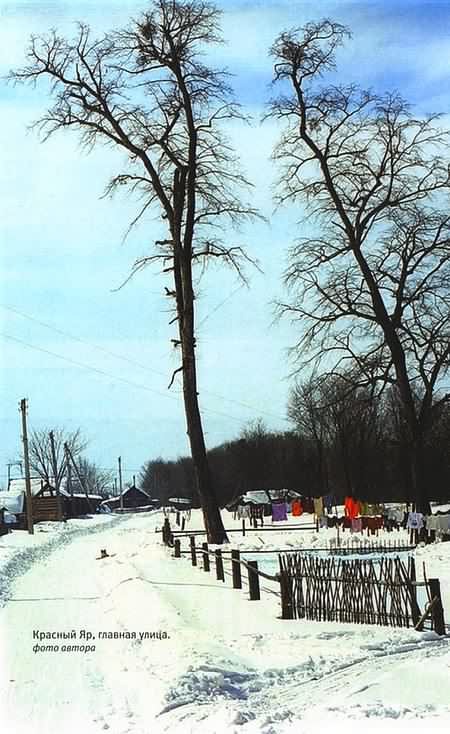 Тигр. История мести и спасения - i_013.jpg