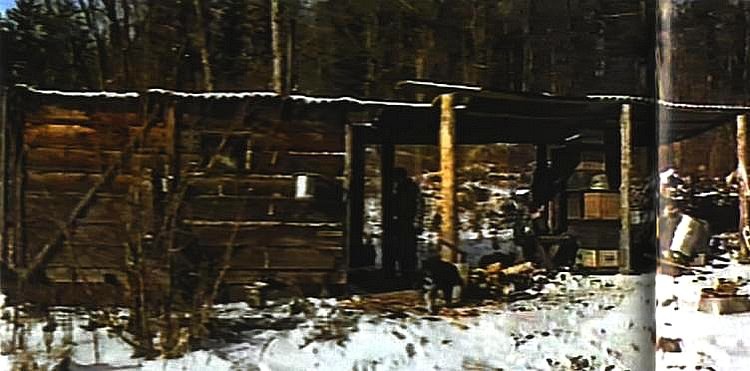 Тигр. История мести и спасения - i_016.jpg