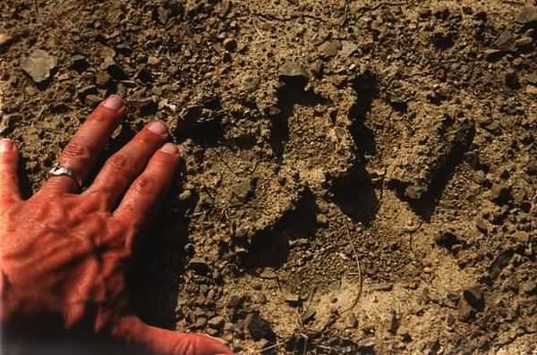 Тигр. История мести и спасения - i_029.jpg