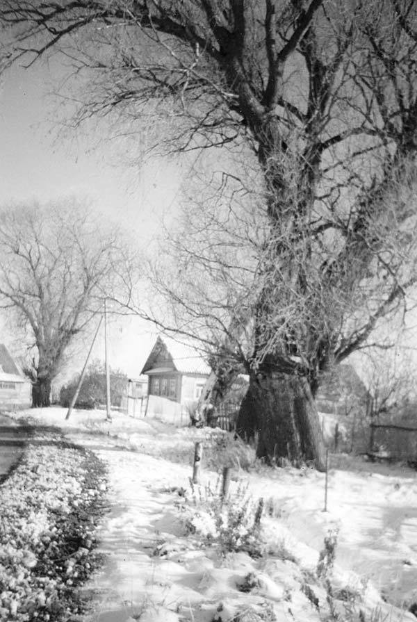 Генерал Кутепов. Гибель Старой гвардии. 1882–1914 - _07.jpg