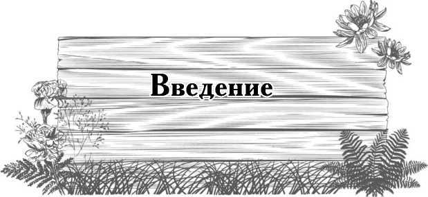 Цветник для ленивых. Цветы от последнего снега до первых морозов - i_001.jpg