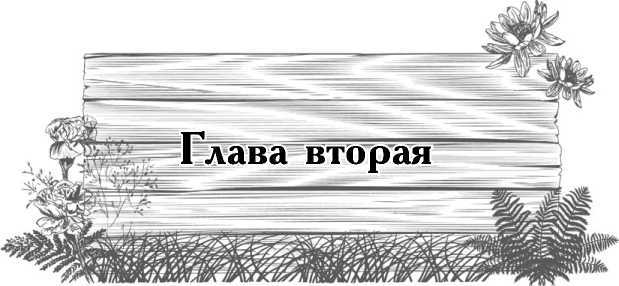 Цветник для ленивых. Цветы от последнего снега до первых морозов - i_003.jpg