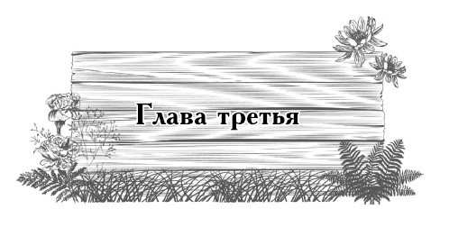 Цветник для ленивых. Цветы от последнего снега до первых морозов - i_014.jpg