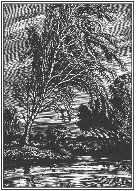 Озорной Есенин - i_028.jpg