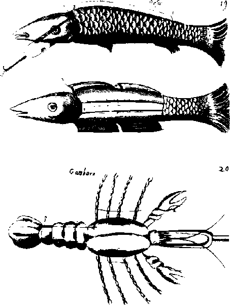 Происхождение вилки. История правильной еды - i_026.png