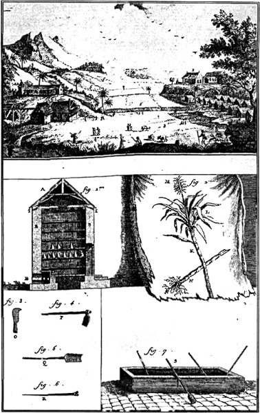 Происхождение вилки. История правильной еды - i_035.jpg