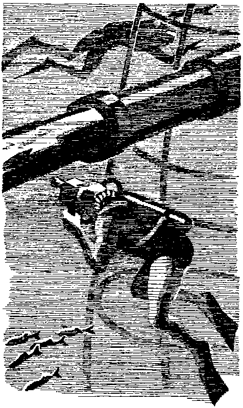 Экипаж «Меконга» (илл. И. Сакурова) - pic_43.png