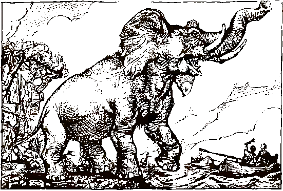 Хозяева джунглей. Рассказы о тиграх и слонах - i_013.png