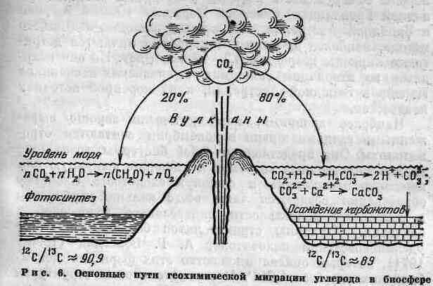 Возникновение и развитие жизни на Земле - i_011.jpg