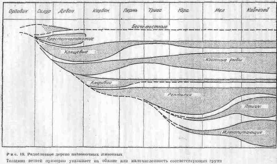 Возникновение и развитие жизни на Земле - i_034.jpg