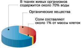 Биология. Общая биология. Базовый уровень. 10 класс - i_013.jpg