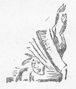 Записки домового (Сборник) - i_015.jpg