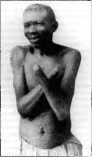 Пир бессмертных: Книги о жестоком, трудном и великолепном времени. Цепи и нити. Том VI - image18.jpg