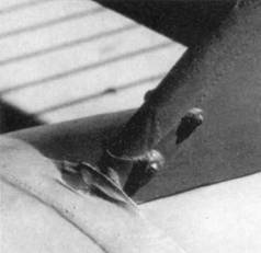 У-2/по-2 - pic_209.jpg