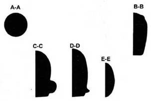 Fairey «Firefly» - pic_92.jpg