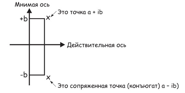 Квантовый ум. Грань между физикой и психологией - i_019.jpg