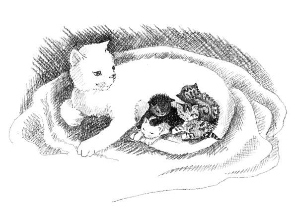 Котёнок Усатик, или Отважное сердце - i_001.jpg