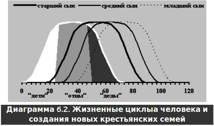 Русское крестьянство в зеркале демографии - img_13.jpg