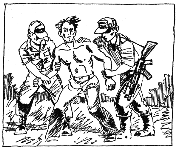 Тайны огонь-горы, или Полосатое лето - i_023.png