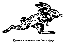 Винни Пух и Все-Все-Все (илл. А. Порет) - pic_61.png