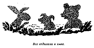 Винни Пух и Все-Все-Все (илл. А. Порет) - pic_137.png