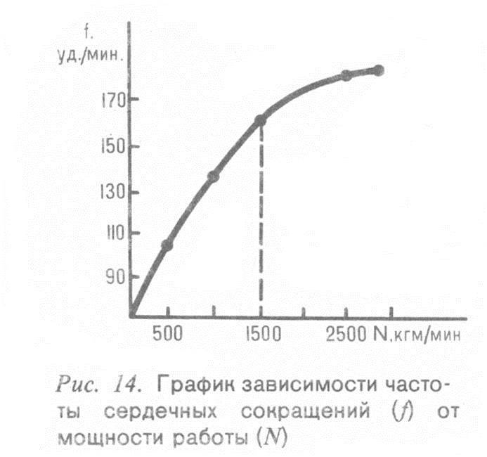 Человек и бег - _12.jpg