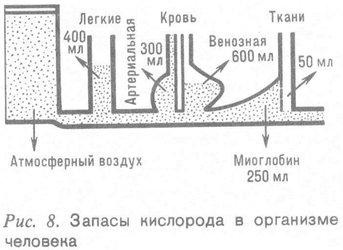 Человек и бег - _7.jpg