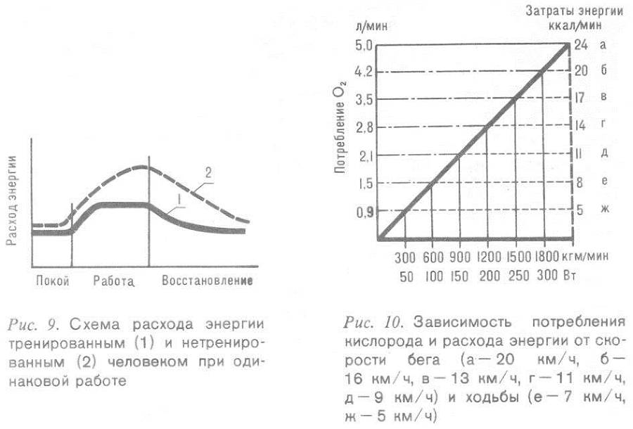 Человек и бег - _8.jpg